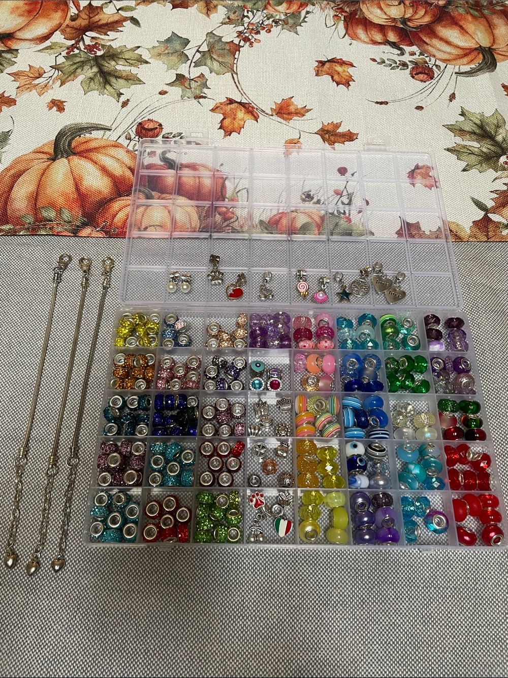 3 Charm Bracelets, Charms, Spacer Beads, and Storage Organizer